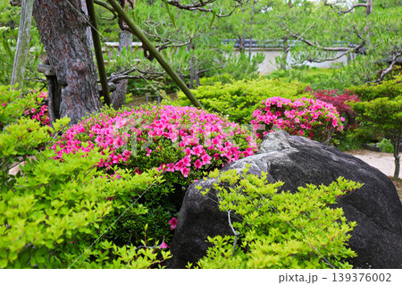 春の公園の庭園風景 春の公園の庭園風景 139376002