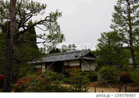 春の公園の庭園風景 春の公園の庭園風景 139376003