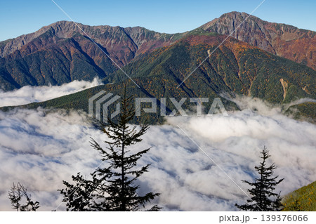 南アルプス・辻山から見る雲海と北岳・間ノ岳 南アルプス・辻山から見る雲海と北岳・間ノ岳 139376066