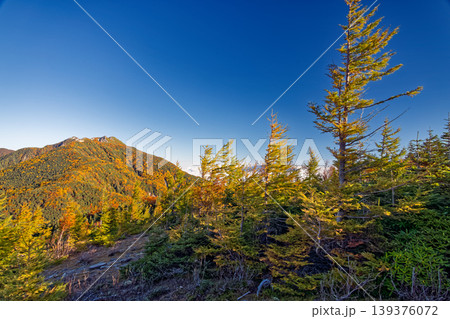 南アルプス・辻山から見る紅葉の鳳凰三山・薬師岳 南アルプス・辻山から見る紅葉の鳳凰三山・薬師岳 139376072