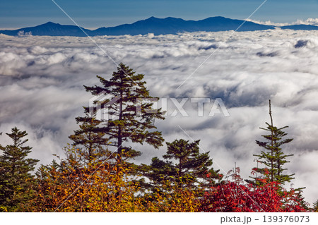 南アルプス・辻山から見る雲上の奥秩父 南アルプス・辻山から見る雲上の奥秩父 139376073