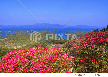 長串山公園・ツツジ(長崎県・佐世保市) 長串山公園・ツツジ(長崎県・佐世保市) 139376160