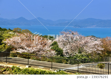 長串山公園・桜(長崎県・佐世保市) 長串山公園・桜(長崎県・佐世保市) 139376291