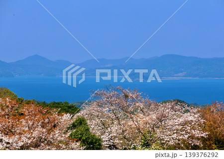 長串山公園・桜(長崎県・佐世保市) 長串山公園・桜(長崎県・佐世保市) 139376292
