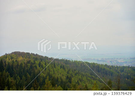 Misty forested mountain hill with valley under cloudy sky Misty forested mountain hill with valley under cloudy sky 139376429