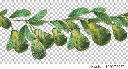 Watercolor avocado branch with ripe whole fruit and green leaves seamless border. Hand drawn illustration isolated on white background for food packaging pattern design, menu, natural cosmetic label. Watercolor avocado branch with ripe whole fruit and green leaves seamless border. Hand drawn illustration isolated on white background for food packaging pattern design, menu, natural cosmetic label. 139377073