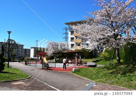東京都町田市 満開桜と山崎団地と遊具広場 東京都町田市 満開桜と山崎団地と遊具広場 139377093
