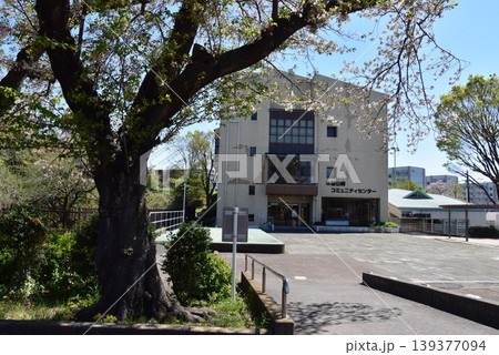 東京都町田市 木曽山崎コミュニティセンターと満開桜 東京都町田市 木曽山崎コミュニティセンターと満開桜 139377094