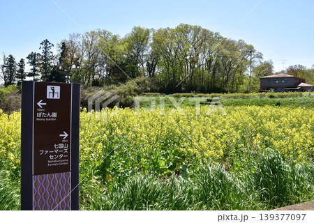 東京都町田市 七国山ファーマーズセンターと新緑と菜の花と道案内 東京都町田市 七国山ファーマーズセンターと新緑と菜の花と道案内 139377097