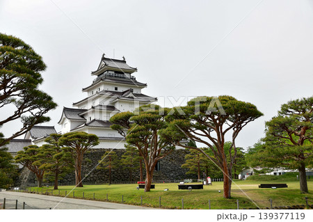 松の木越しに見る会津若松城(鶴ヶ城)奥行きのある日本の風景 松の木越しに見る会津若松城(鶴ヶ城)奥行きのある日本の風景 139377119