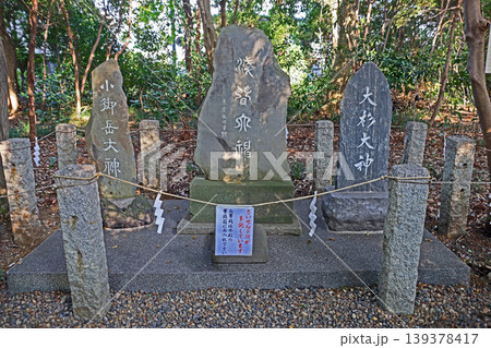 櫻木神社(野田) 櫻木神社(野田) 139378417