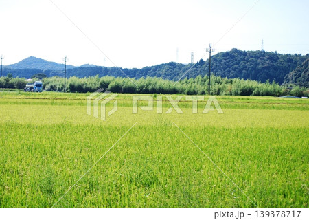 青空の下に広がる鮮やかな緑の田園風景 青空の下に広がる鮮やかな緑の田園風景 139378717