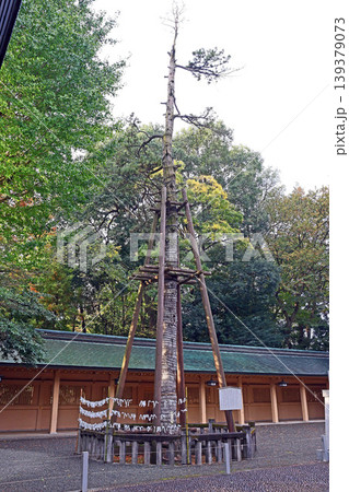 荻窪八幡神社(杉並) 荻窪八幡神社(杉並) 139379073
