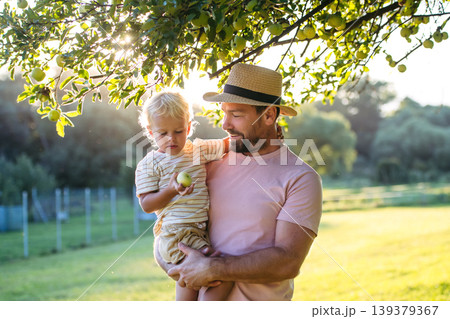 Portrait of little boy and father under apple tree during warm summer day. Portrait of little boy and father under apple tree during warm summer day. 139379367