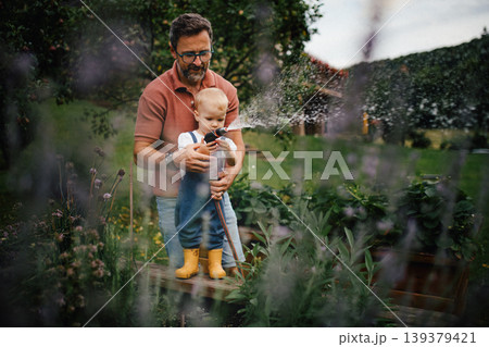 Little daughter helping dad in garden, watering plants with hose. Little daughter helping dad in garden, watering plants with hose. 139379421