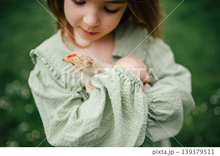 Child gently holding baby chicken, playing in garden during spring. 139379511