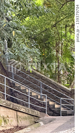 Stone staircase with metal railings ascends through lush green foliage Stone staircase with metal railings ascends through lush green foliage 139379784