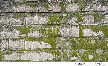 Weathered stone wall covered in vibrant green moss and lichen textures 139379785