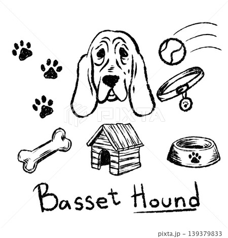 Basset Hound doodle set, hand drawn dog breed head with collar, ball and house. Sketch pet animal elements, canine portrait. Basset Hound collection 139379833