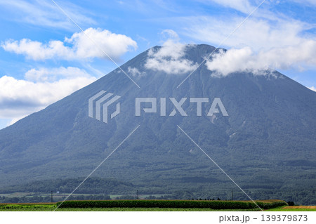 北海道倶知安町、夏空にそびえる羊蹄山【8月】 北海道倶知安町、夏空にそびえる羊蹄山【8月】 139379873