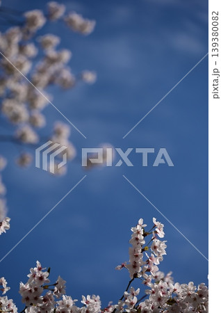 青空に咲く桜の花 青空に咲く桜の花 139380082