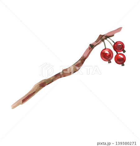 Hand drawn watercolor illustration of a rustic tree branch with three bright red berries. This organic botanical element features earthy textures, perfect for autumn, winter, or holiday seasonal Hand drawn watercolor illustration of a rustic tree branch with three bright red berries. This organic botanical element features earthy textures, perfect for autumn, winter, or holiday seasonal 139380271