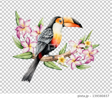 Toco toucan on realistic blooming frangipani flowers tree. Watercolor hand drawn tropical plumeria plant. Isolated botanical illustration on transparent background. Perfect for tropical design Toco toucan on realistic blooming frangipani flowers tree. Watercolor hand drawn tropical plumeria plant. Isolated botanical illustration on transparent background. Perfect for tropical design 139380837