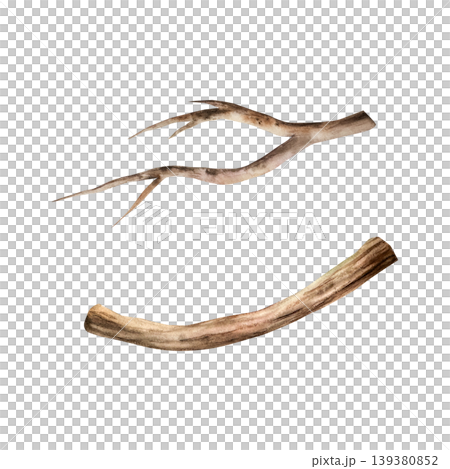 Set of wooden branches, twigs, sticks. Watercolor hand drawn Isolated illustration on transparent background. Perfect for tropical design projects. For designers, invitations, decoration, postcards 139380852