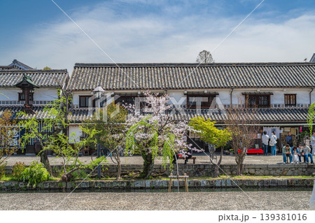 倉敷美観地区 倉敷川畔の春景色 倉敷美観地区 倉敷川畔の春景色 139381016