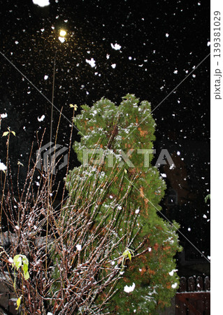 It's snowing It's snowing 139381029