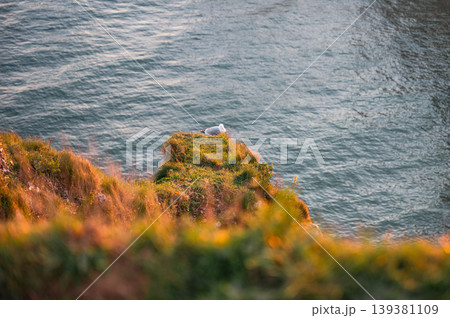 Two Seagulls Resting on Etretat Cliffs 139381109