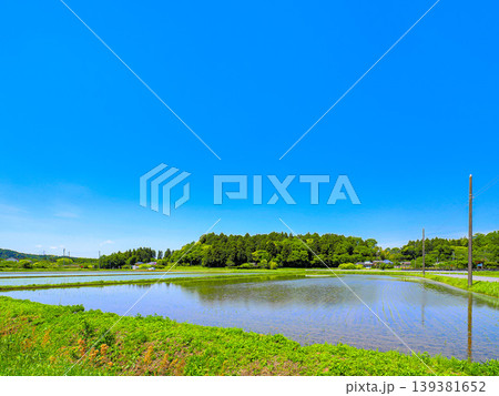 田植えの終わった水田と青空 139381652