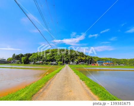 田んぼのある風景 田んぼのある風景 139381675