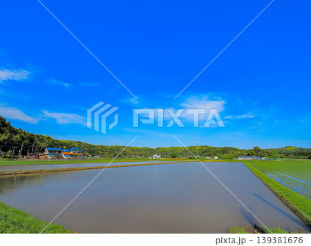 田植えが終わった水田と青空 139381676