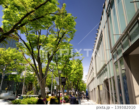 表参道ヒルズと新緑のケヤキ並木 東京都 表参道ヒルズと新緑のケヤキ並木 東京都 139382010