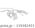 Minimalist single line drawing of a human hand holding a giant lobster. This nature concept is absolutely perfect for National Lobster Day market advertisements, blog posts, and wall decors. 139382453