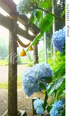 神社と紫陽花 1706 01 神社と紫陽花 1706 01 139382771
