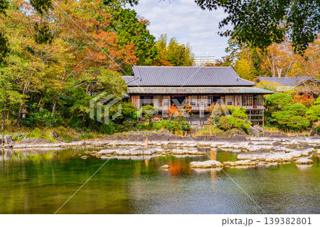 （静岡県）三島市楽寿園　小浜池と楽寿館 139382801