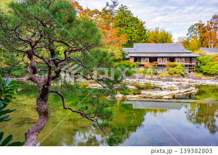 (静岡県)三島市楽寿園 小浜池と楽寿館 (静岡県)三島市楽寿園 小浜池と楽寿館 139382803