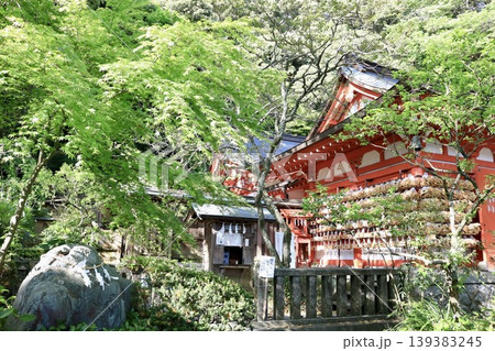 新緑に映える寺社仏閣 139383245