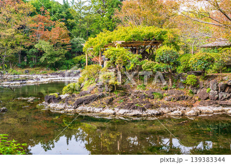 （静岡県）三島市楽寿園　小浜池・源兵衛川水源 139383344
