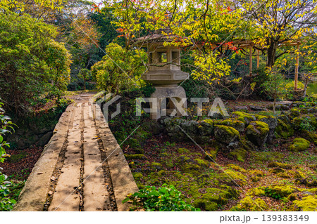 （静岡県）三島市楽寿園　小浜池・源兵衛川水源 139383349