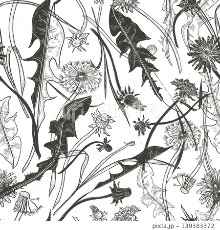 Dandelion outline black white vector seamless pattern isolated. Silhouette and contour leaves and wildflowers repeat background. Botanical print for fabric, wallpaper, textile. Eco pattern packaging. 139383372