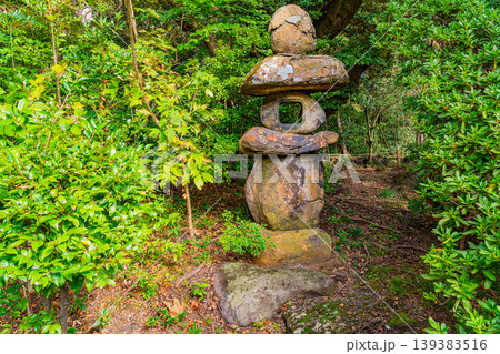 （静岡県）三島市楽寿園　鞍馬灯篭 139383516