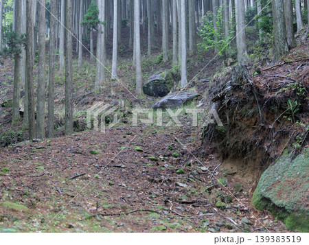 山の中にある道、グラベルロード 山の中にある道、グラベルロード 139383519