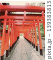 赤い鳥居が連なる神社参道の風景 日本の伝統と観光スポット 139383813
