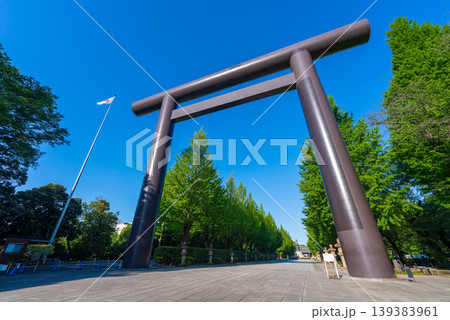 靖国神社の第一鳥居（大鳥居） 139383961