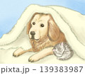 フカフカの毛布に包まっている仲良しな犬と猫 139383987