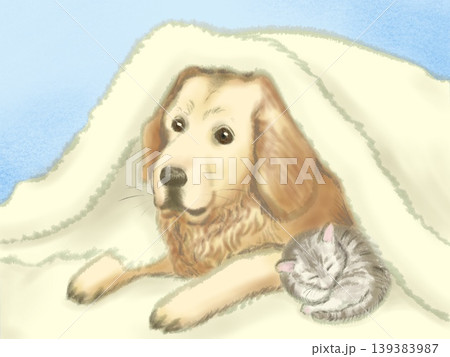 フカフカの毛布に包まっている仲良しな犬と猫 139383987