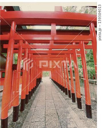 赤い鳥居が続く神社参道の幻想的な風景 日本の伝統文化 赤い鳥居が続く神社参道の幻想的な風景 日本の伝統文化 139384013